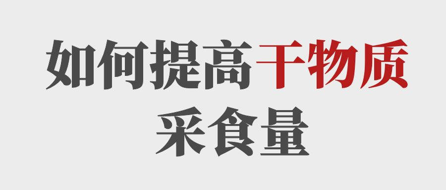 做到這5點(diǎn)提高育肥牛的干物質(zhì)采食量！